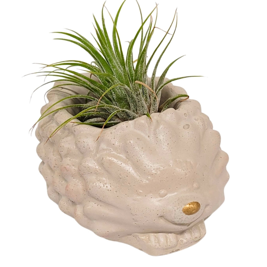 Hedgehog Concrete Planter