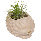 Hedgehog Concrete Planter