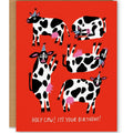 Holy Cow Birthday Card