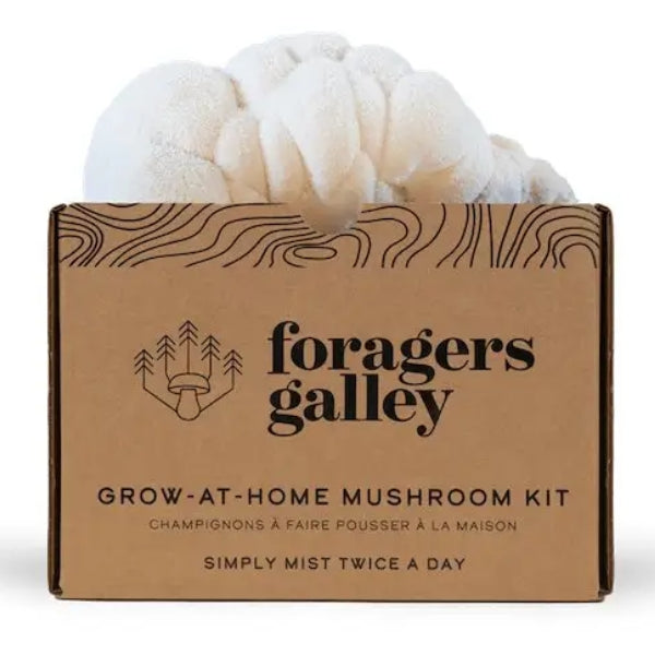 Kit de culture de champignons à domicile - Crinière de lion