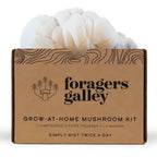 Kit de culture de champignons à domicile - Crinière de lion