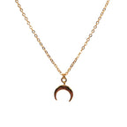 Little Horn Necklace