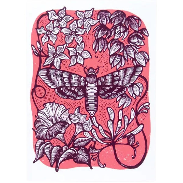 Nocturne Moth Art Print & Card