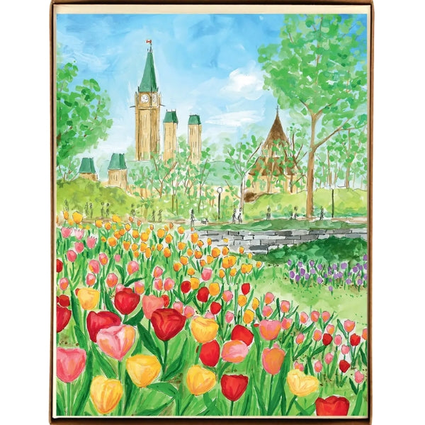Ottawa Summer Card Collection - Boxed Set of 8