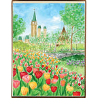 Ottawa Summer Card Collection - Boxed Set of 8