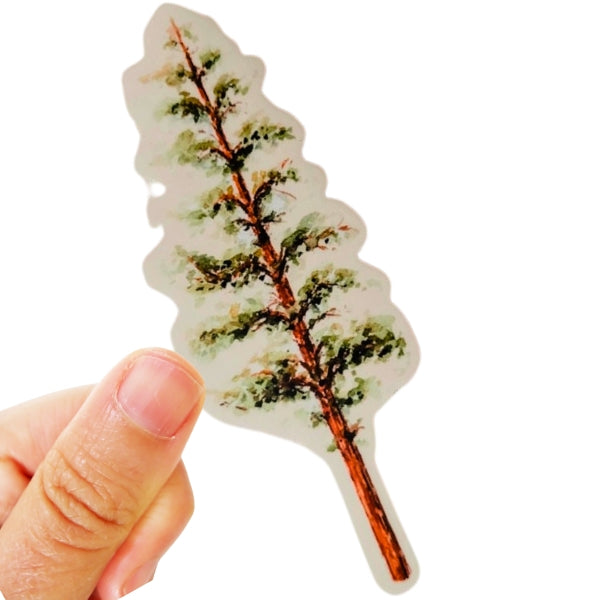 Pine Tree Sticker