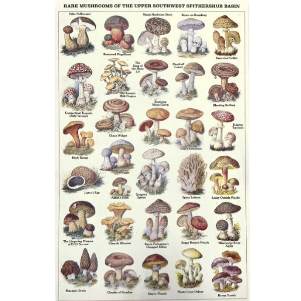 Risographie de champignons rares (28 x 43 cm)