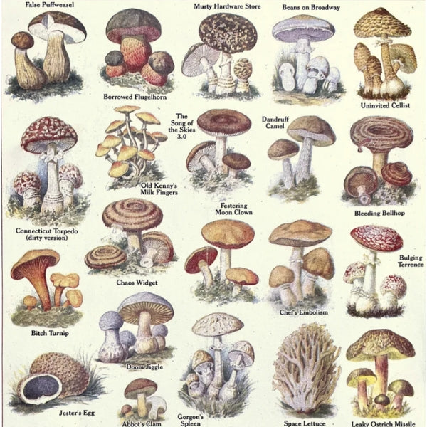 Risographie de champignons rares (28 x 43 cm)