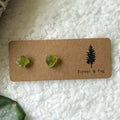 Raw Gemstone Earrings - Peridot