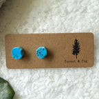 Raw Gemstone Earrings - Turquoise