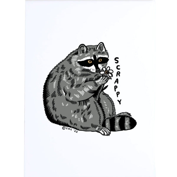 Scrappy Raccoon Print (8