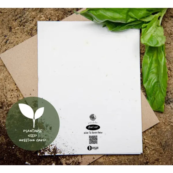 Happy Bearthday Plantable Seed Birthday Card