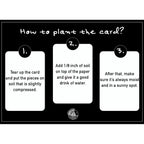 Good Luck Adventure Plantable Seed Card