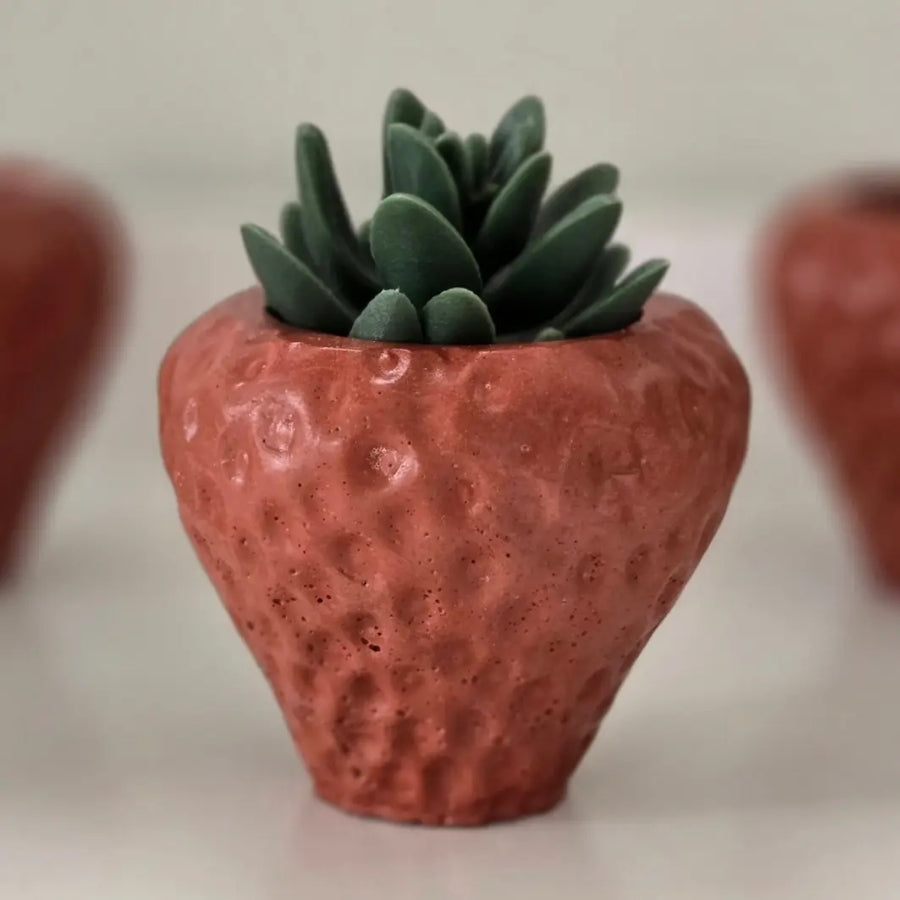 Strawberry Concrete Planter