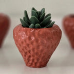 Strawberry Concrete Planter
