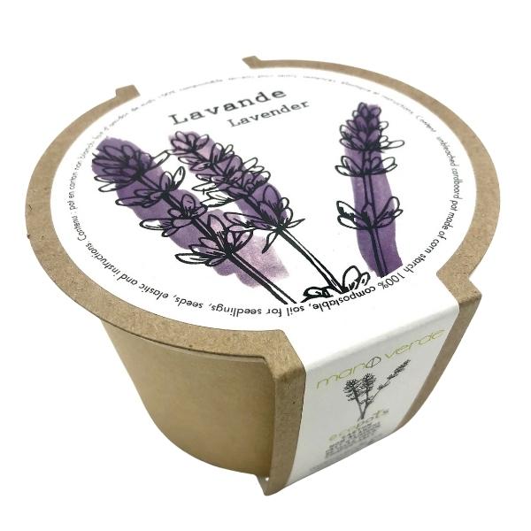 4" Plant Starter Kit - Lavender - Mano Verde