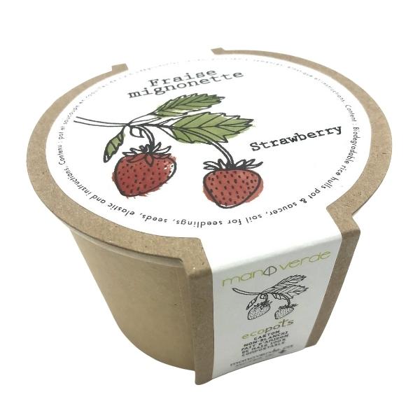 4" Plant Starter Kit - Strawberry - Mano Verde