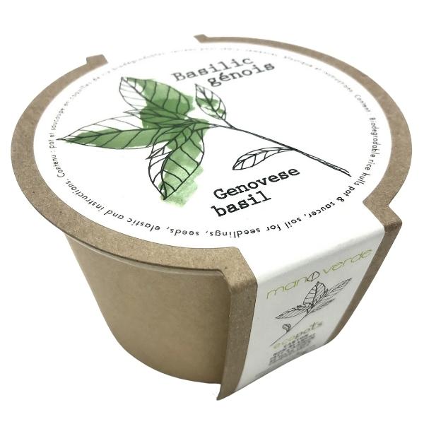 4" Plant Starter Kit - Genovese Basil