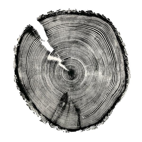 Log Print Design Black Log Print - Ash by Nacoille at Maker House Co.