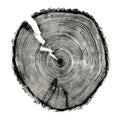 Black Log Print - Hemlock (18" x 24") - Maker House Co.