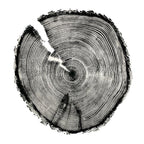 Black Log Print - Hemlock (18" x 24") - Maker House Co.