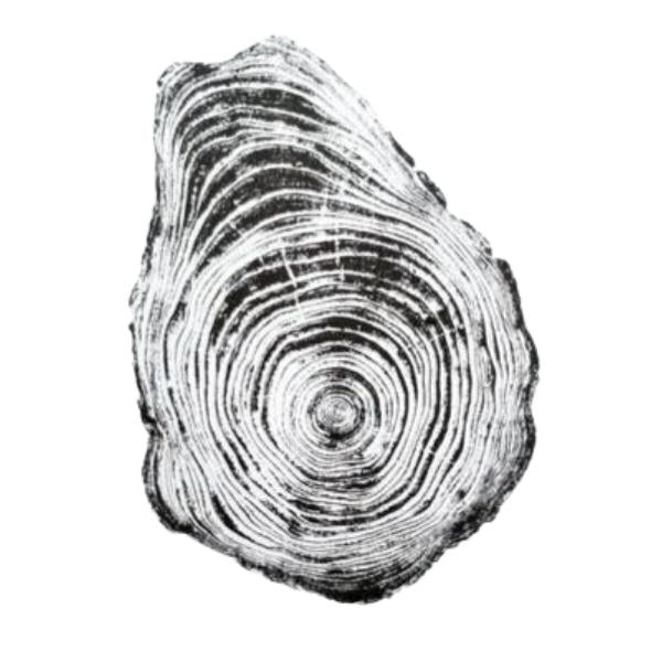 Black Log Print - Pine (18" x 24")