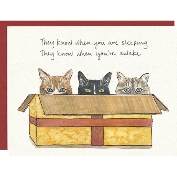 Cats In A Box Christmas Card