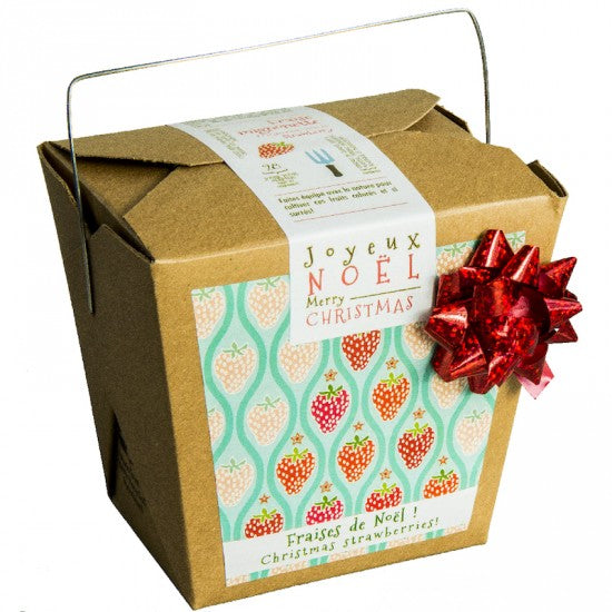 Flower Box - Christmas Strawberries