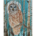 Nocturne Owl Card