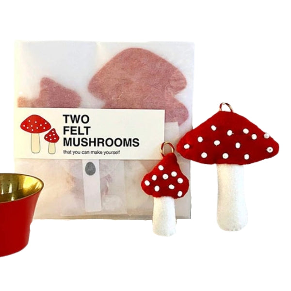 Fly Agaric Cross Stitch Beginner Kit. Mushrooms Starter Kit for