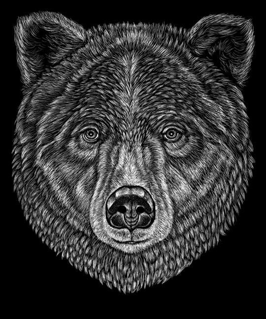 Black Bear T-Shirt - Andrea Hooge
