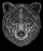 Black Bear T-Shirt - Andrea Hooge