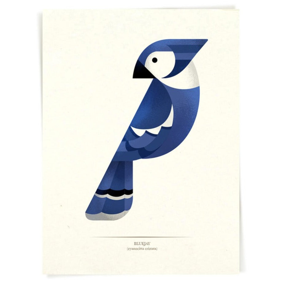 Blue Jay Print (5" x 7") - Alisha Giroux