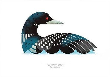 Common Loon Print (5" x 7") - Alisha Giroux