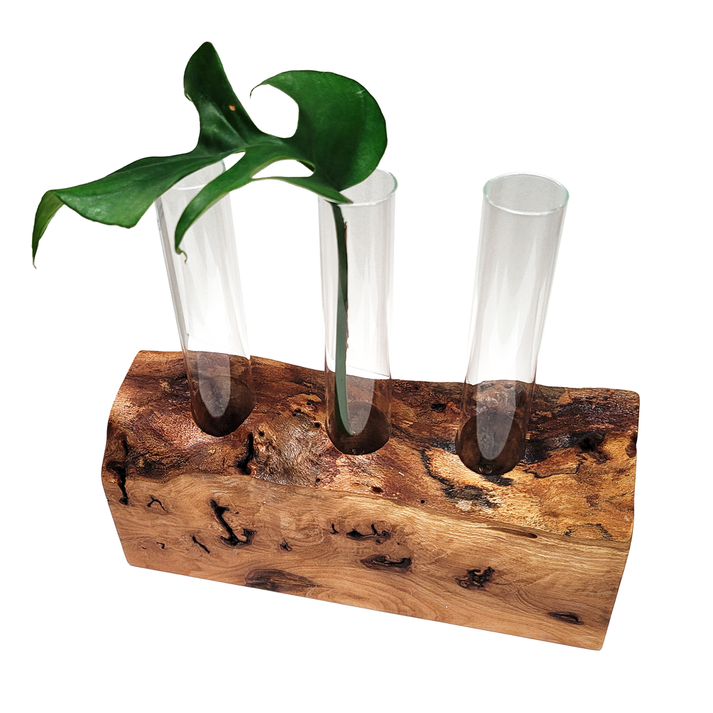 Live edge propagation station by LivCan designs. 