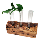 Live edge propagation station by LivCan designs. 