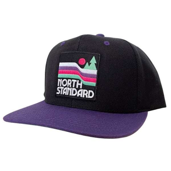 Adult Snapback Hat -Black/Purple w/Waves