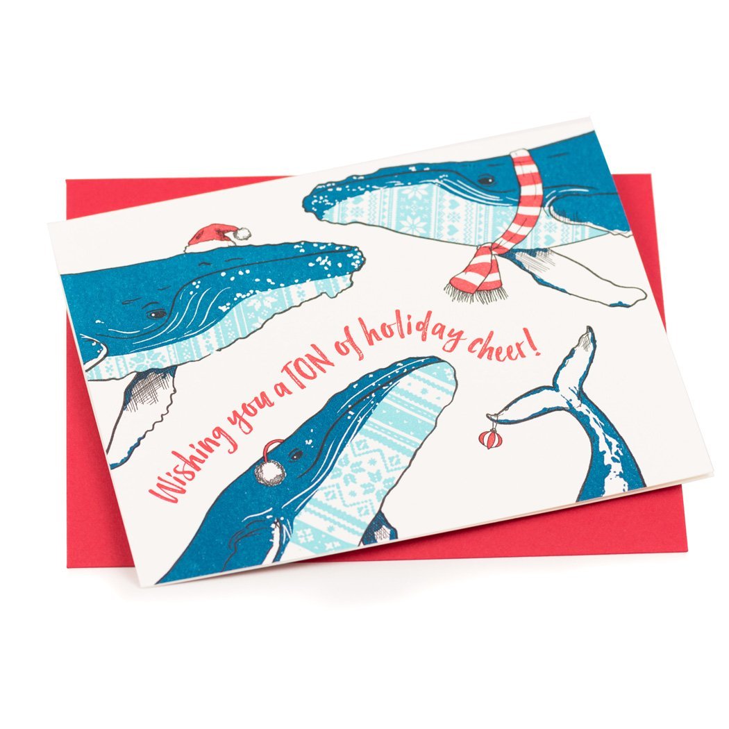 Sweater Whales Christmas Card - Porchlight Press