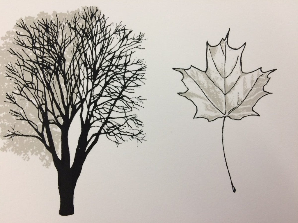 Trees of Ontario Print (18” x 24”) (Final Sale) - Maker House Co.