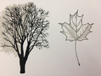 Trees of Ontario Print (18” x 24”) (Final Sale) - Maker House Co.