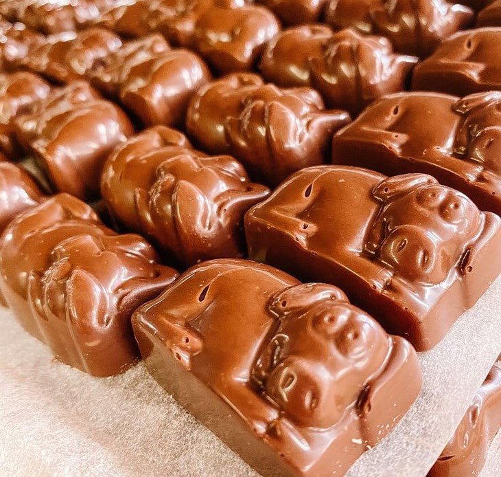 Truffle Piglets - Milk Chocolate Spring Gift Box - Truffle Pig Chocolate